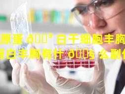 胶原蛋 🐳 白干细胞丰胸（胶原蛋白丰胸有什 🐧 么副作用）